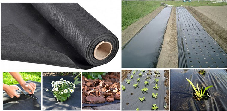 Agriculture crop ground cover textile